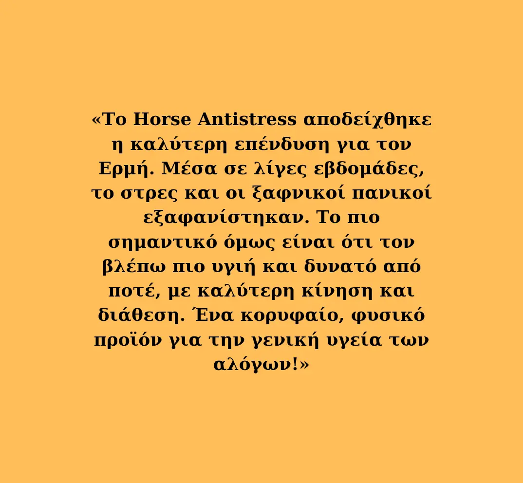 horse-antistress-cbd-oil-feedback.webp